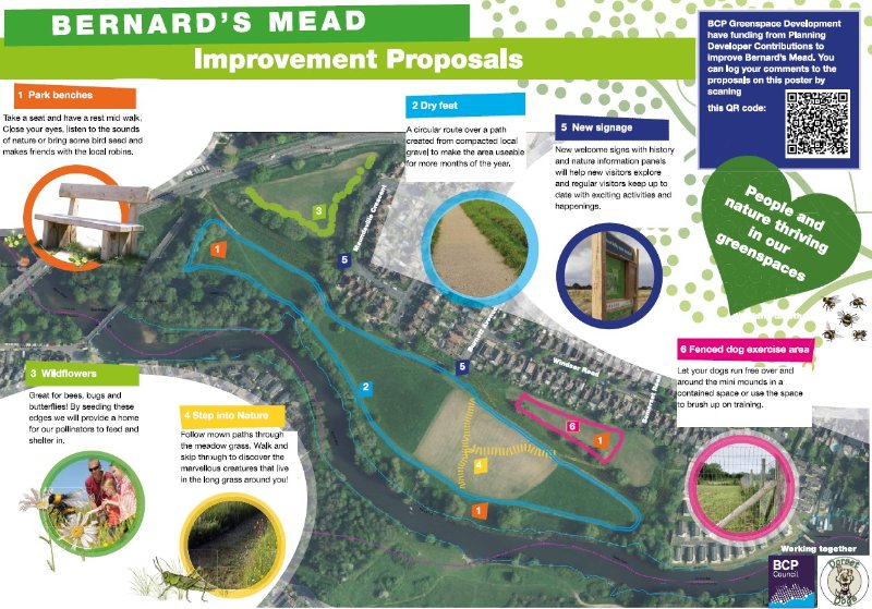 bcp bernards mead proposal