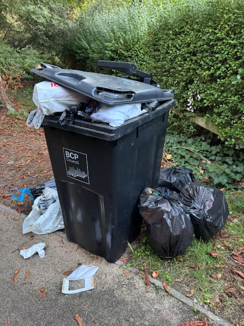 bcp overflowing litter bin